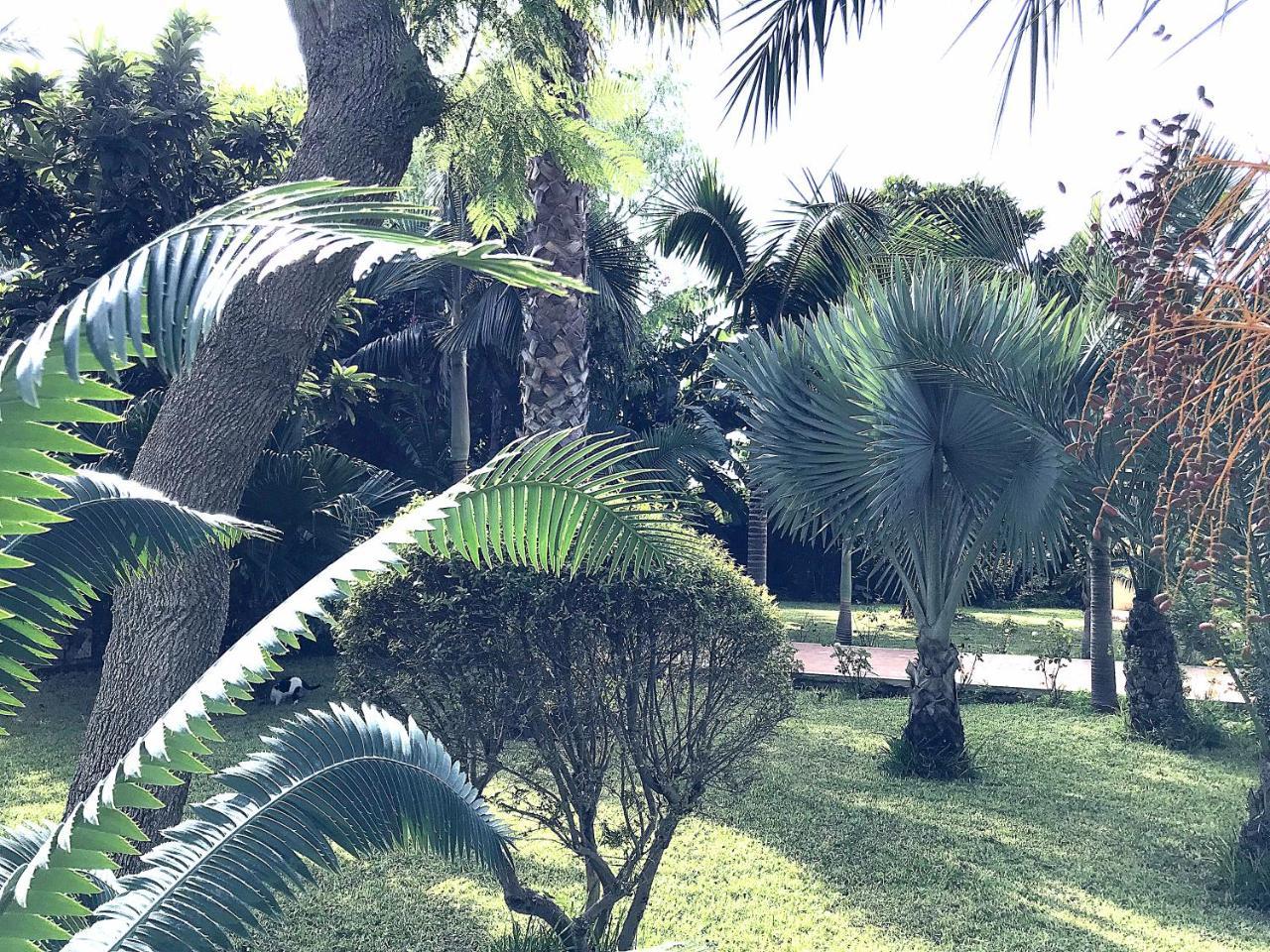 Villa Marrone - Relais - Marsala Exteriör bild